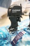 Evinrude 55 mfe. Διατάξτε!