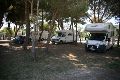 Κάτω από πανύψηλα πεύκα το camper stop του Γ. Παναγούλια στην παραλία της Καλογριάς.